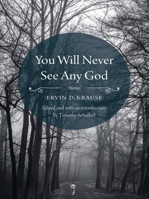 cover image of You Will Never See Any God